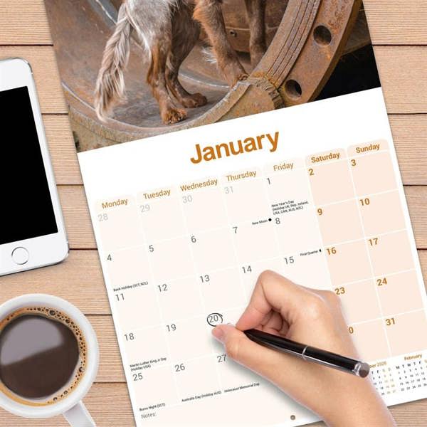 Working Cocker Spaniel Calendar 2027, Wall Calendars, Month To View, Dogs, Gift