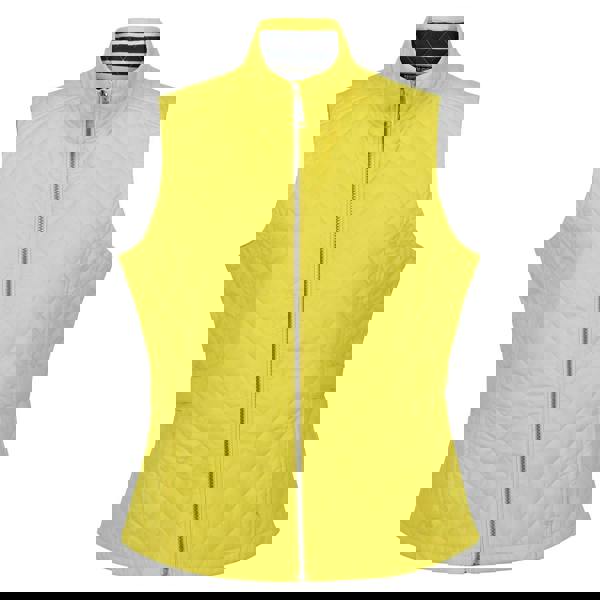 Regatta Womens/Ladies Carmine Gilet - Maize Yellow - 