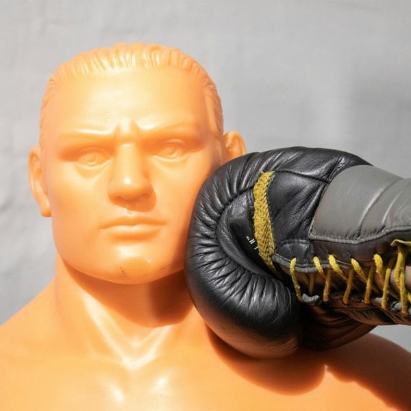 Phoenix Fitness Boxing Man