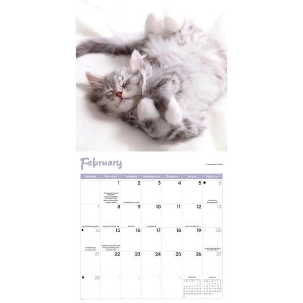 Cat Naps Calendar 2027, Wall Calendars, Month To View, Cats, Gift