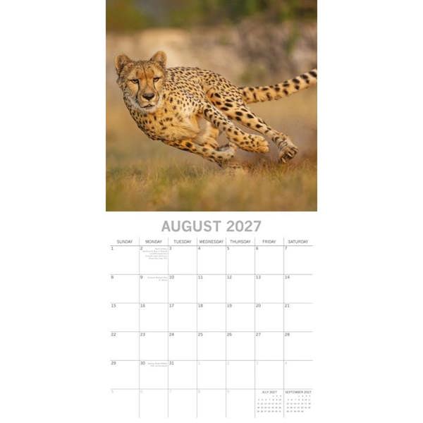 Safari Calendar 2027, Wall Calendars, Month To View, Travel, Gift