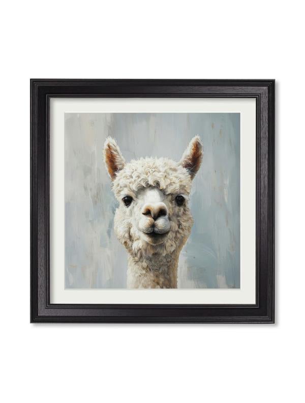 Exceptional Art The Goofy Alpaca - Black Hurstwood square frame
