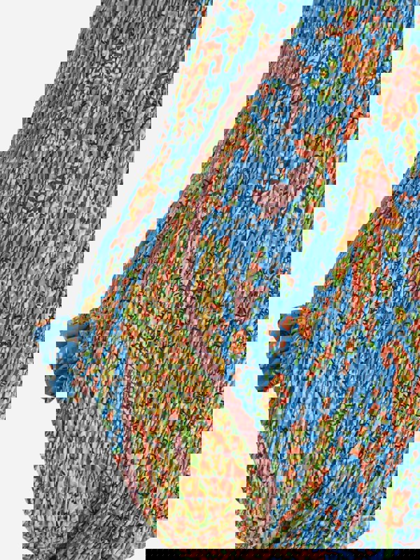 ETRS4049_CELESTE_MULTICOLOR_4