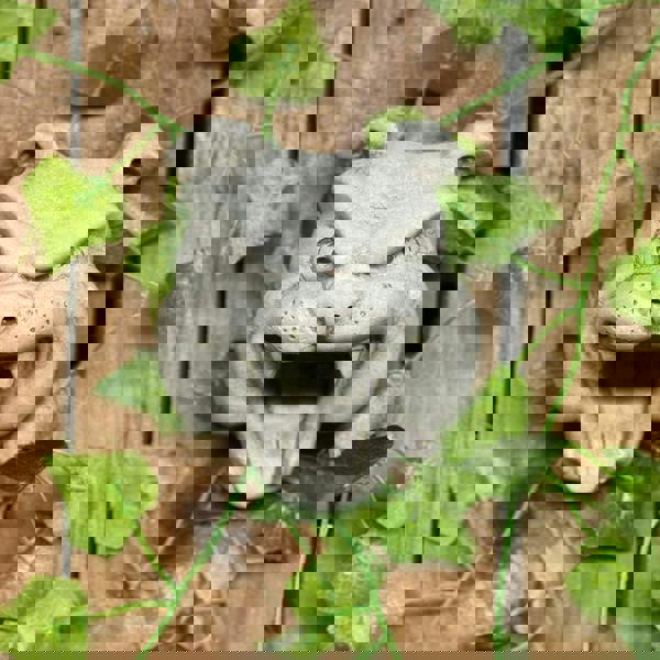 Bulldog Head Stone Wall Plaque