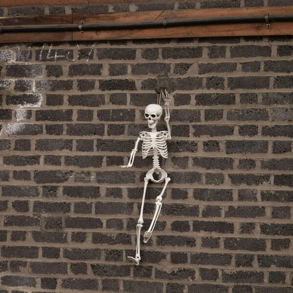 Samuel Alexander 10 Pack: 3ft (90cm) Posable Full Body Halloween Skeleton Decoration with Movable Joints