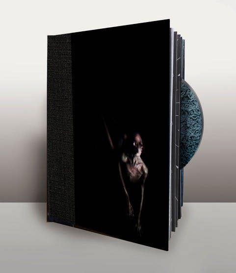 Tool 'Opiate2' Blu-Ray