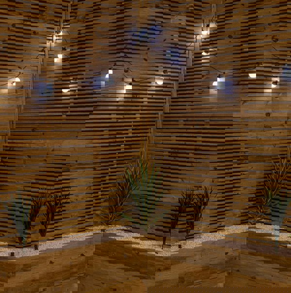 Samuel Alexander Set of 10 Indoor Outdoor Connectable Party Festoon Lights with Cool White LEDs