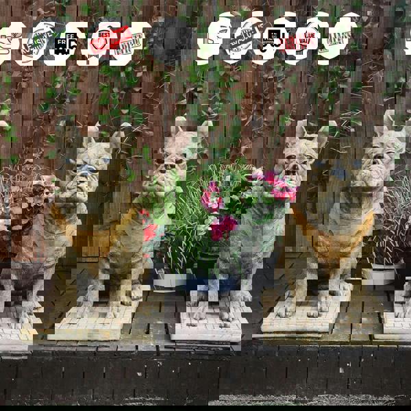 Pair of Life Size French Bulldog Statues