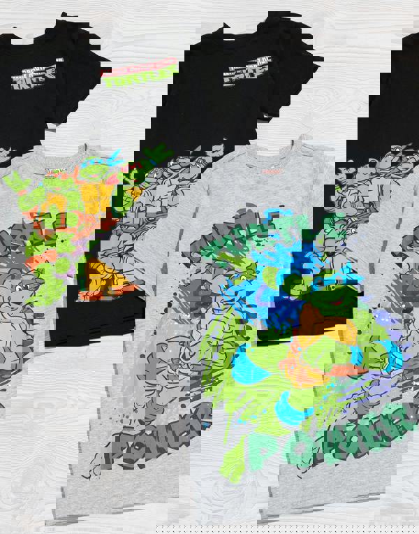 Teenage Mutant Ninja Turtles Boys Multicoloured Multi Character Multi-Pack of 2 Short-Sleeved T-Shirts