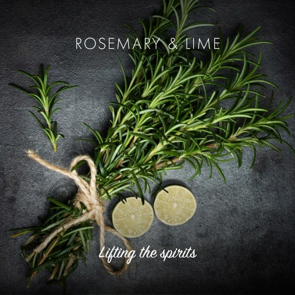 Rosemary and lime ingredients on a slate background