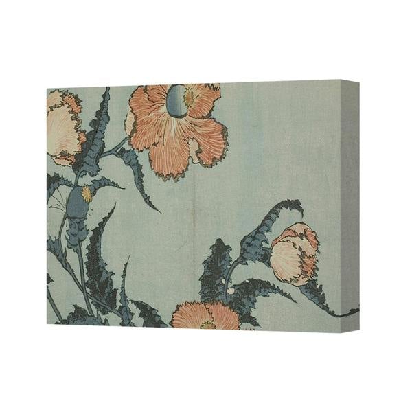 Benjamin Tate Design Floral Poppy Canvas Wall Art Botanical Print for Home Decor