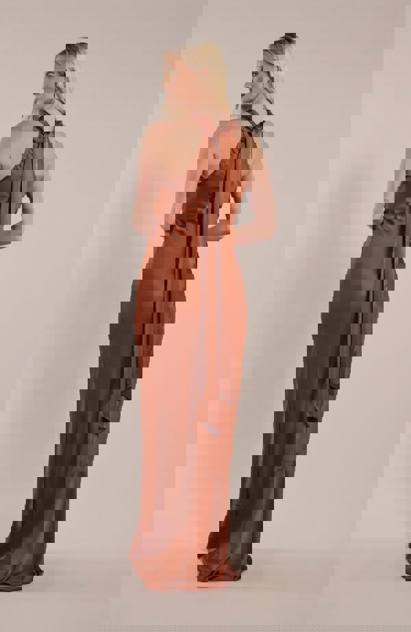 Rewritten London Roma Dress in Cinnamon Satin