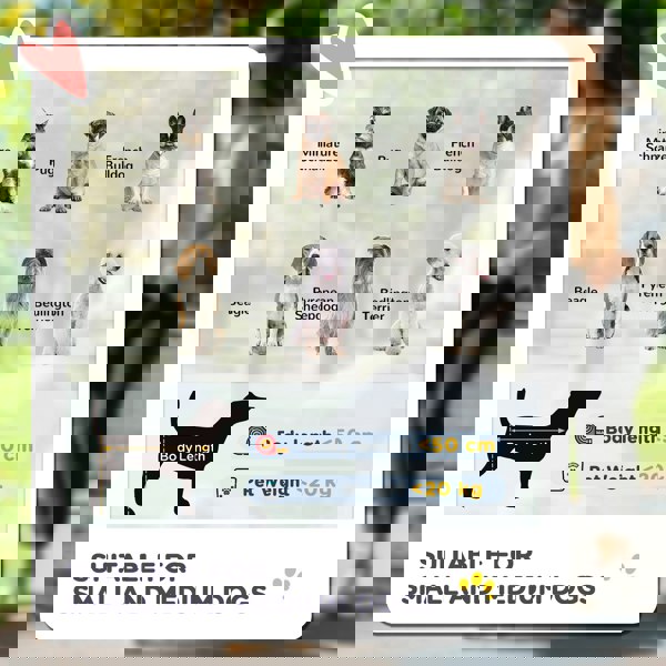 D00-163V00DB