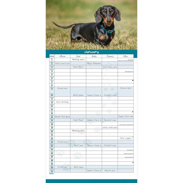 Dachshund Family Organiser 2027, Family Planners, Month To View, Dogs, Gift