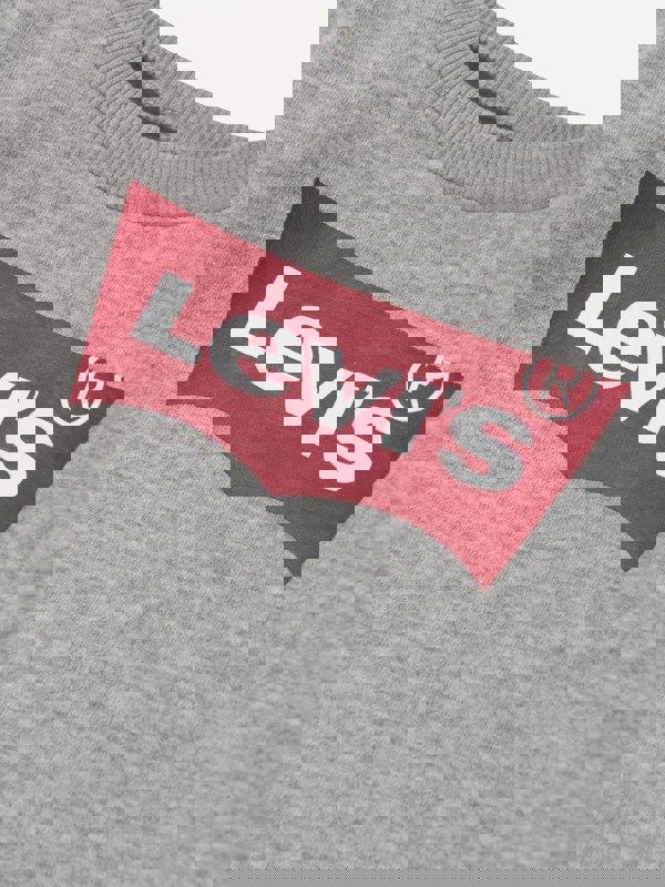 Levi's Kids Wear Levi's Baby Boys Batwing Crewneck Sweatshirt in Grey