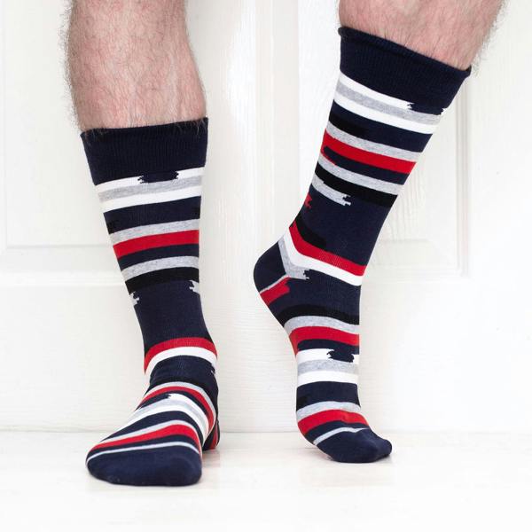 Jemsox The Wild Streak: Luxury Organic Cotton Men’s Socks (5 Pack) | One Size UK 7-11