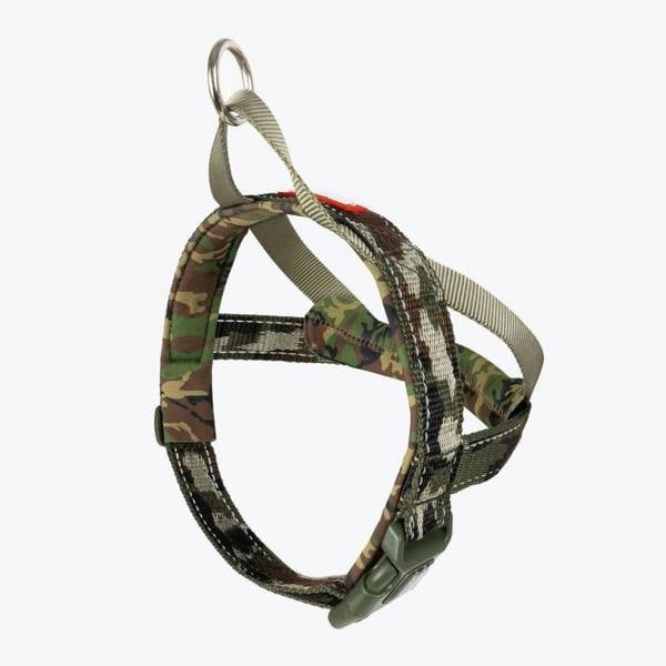 EzyDog Quick Fit Dog Harness in Green