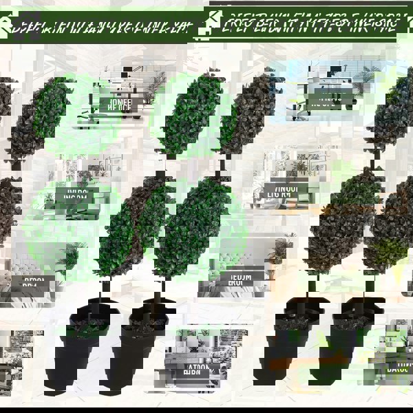 Artificial Pruned Plants
