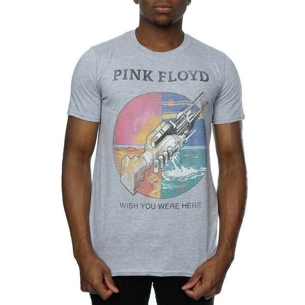 Pink Floyd Mens Wish You Were Here Heather T-Shirt - Heather Grey