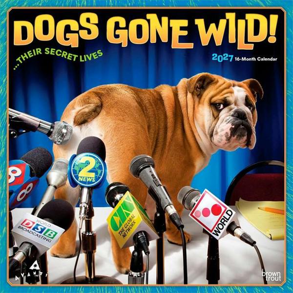Dogs Gone Wild Calendar 2027, Wall Calendars, Month To View, Dogs, Gift