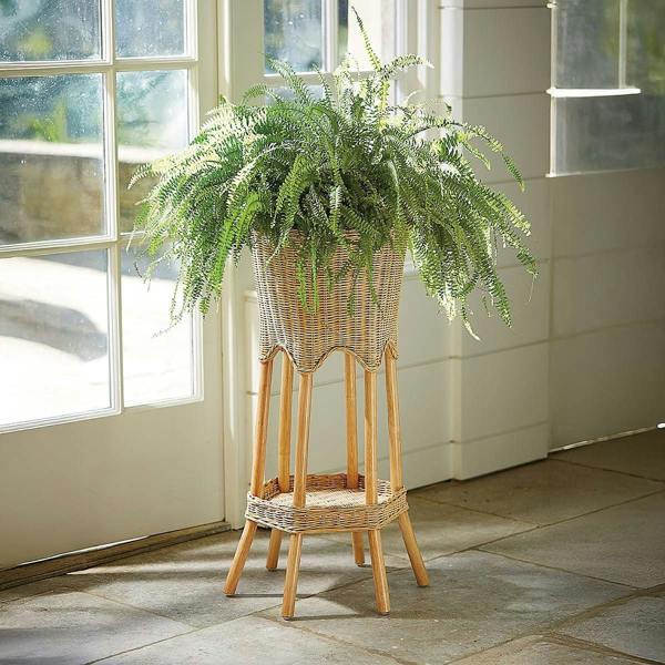 Museum Selection Ettington Cane Plant Stand - 76 x 31cm - Wooden