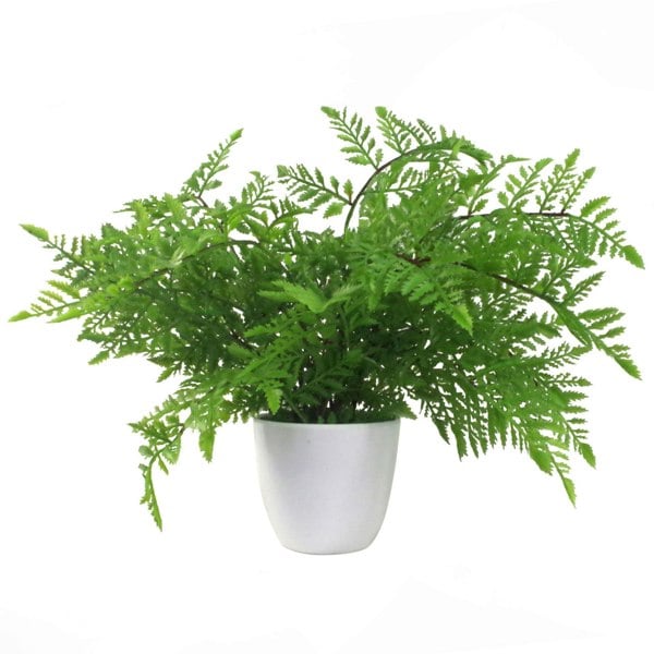 Leaf 30cm Artificial Potted Southern Wood Fern