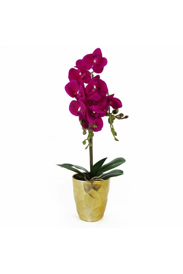 Dyzi Real Touch Artificial Orchid Plant In Decorative Pot
