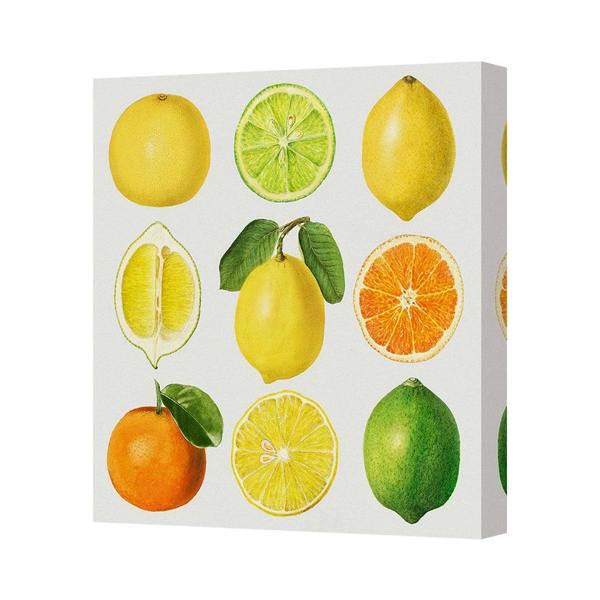 Benjamin Tate Design Vibrant Citrus Fruit Canvas Art Print For Modern Home Decor