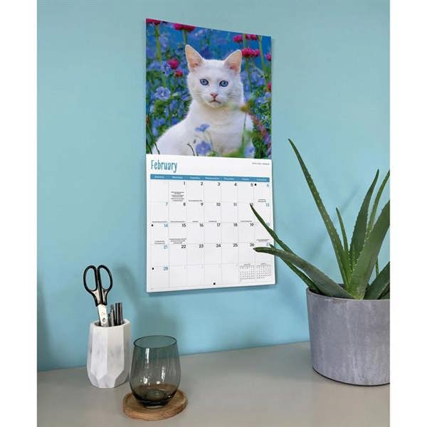 Cats Calendar 2027, Wall Calendars, Month To View, Cats, Gift