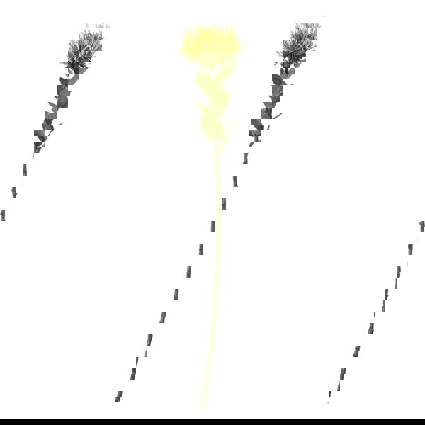 Hill Interiors Protea Lorea Stem Artificial Plant - Green - 