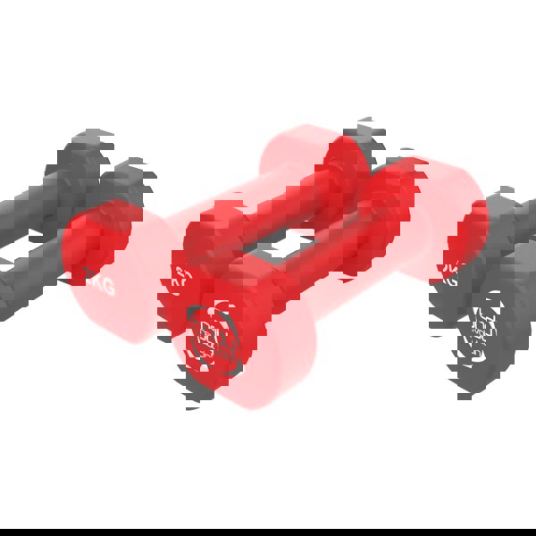 Body Revolution 2 x 2KG Neoprene dumbbells