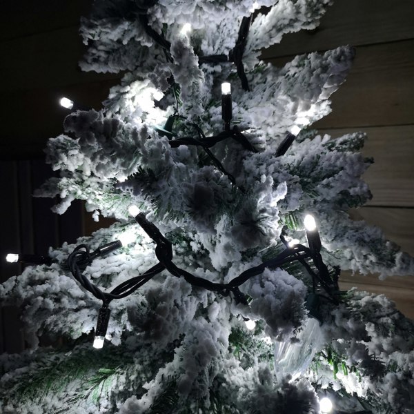 Samuel Alexander 100 LED 8m Premier Christmas Connectable Outdoor Static Lights in Cool White