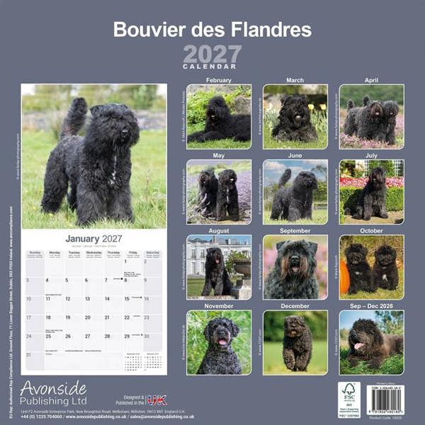 Bouvier Des Flandres Calendar 2027, Wall Calendars, Month To View, Dogs, Gift
