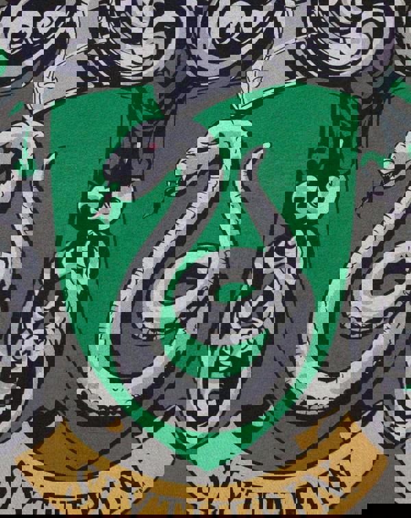 Harry Potter Boys Black Slytherin Crest Short Sleeved T-Shirt