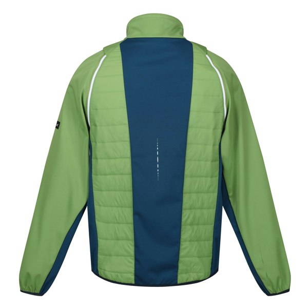 Regatta Men's Steren II Softshell Hybrid Jacket - Piquant Green/Moroccan Blue/Citron Lime