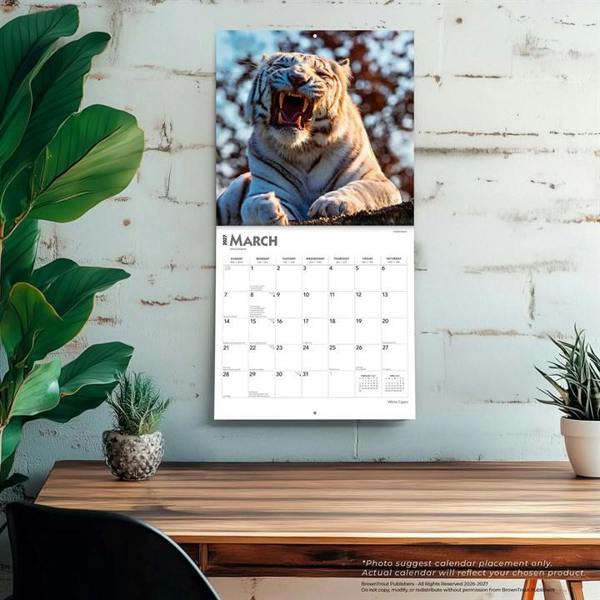 White Tigers Calendar 2027, Wall Calendars, Month To View, Animals, Gift