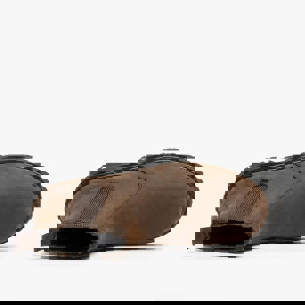 1579699348-39385400.jpg