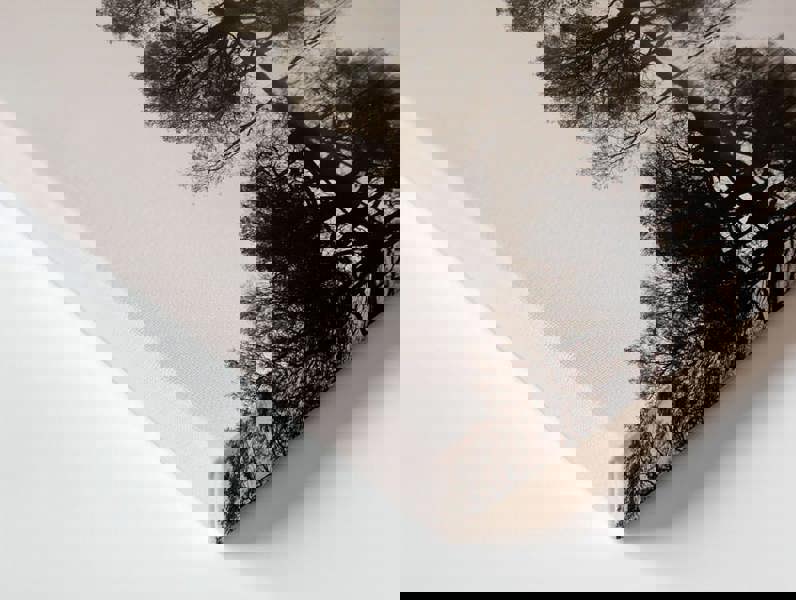 premium quality canvas wall prints