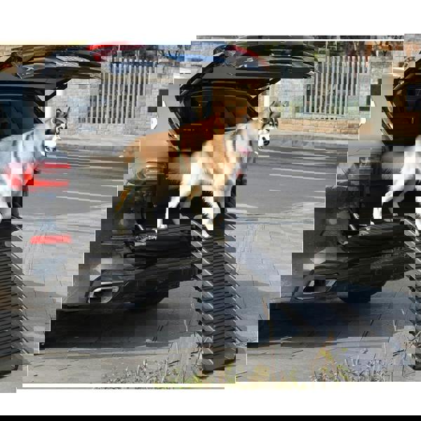 Gr8 Garden Dog Pet Ramp Plastic Folding Lightweight Strong Bi Fold Travel Car Van Portable