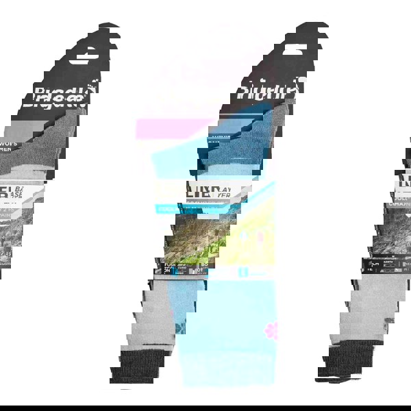 t4option1_1