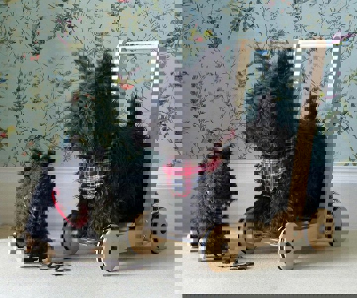 Scottie Dog Baby Walker and Scottie Dog Pull Along Toy standing in front of green patterned wallpaper