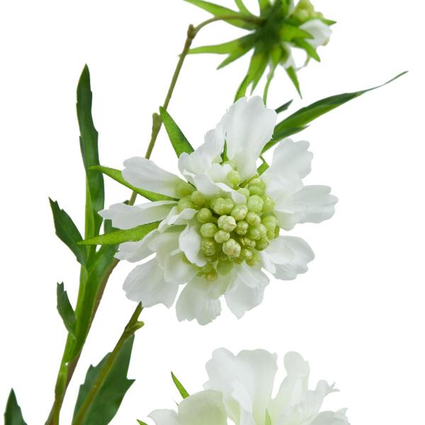 Wyld Haus Set of 3 Artificial Flowers White Scabious Stems