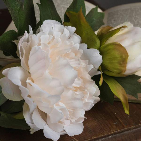 Wyld Haus Set of 3 Artificial Flowers White Peony Stem