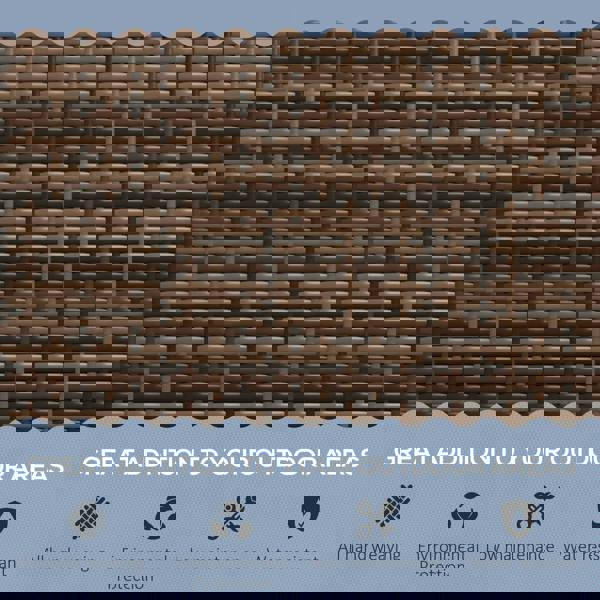 Rattan Leisure Chair