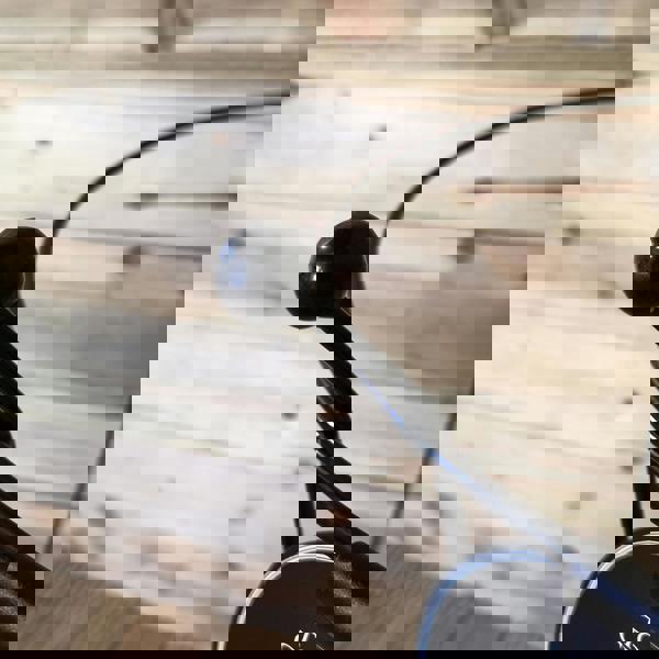 Samuel Alexander 2 Pack of Tom Chambers Cottage Heavy Duty Black Metal Steel Herbaceous Garden Plant Support Ring Large 80cm x 45cm