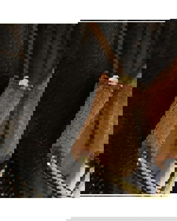 193980959.jpg