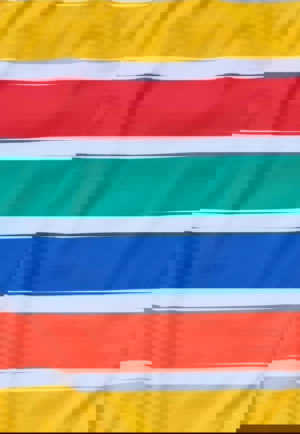 Happy Stripe Print Kids' Swimsuit - Toby Tiger