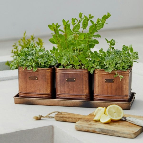 Ivyline Outdoor Hampton Copper Set of 3 Herb Planters With Tray