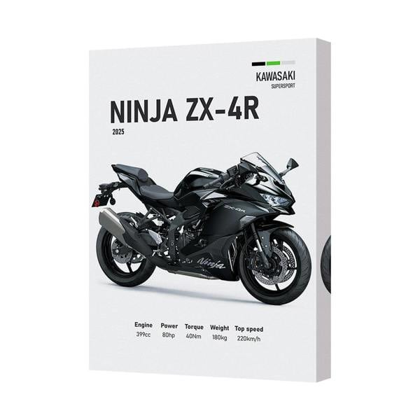 Benjamin Tate Design Contemporary Kawasaki Ninja ZX 4R Canvas Wall Art Print Handmade in UK