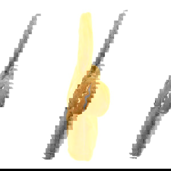 The Puppet Company Gingerbread Man - My First Christmas Puppets